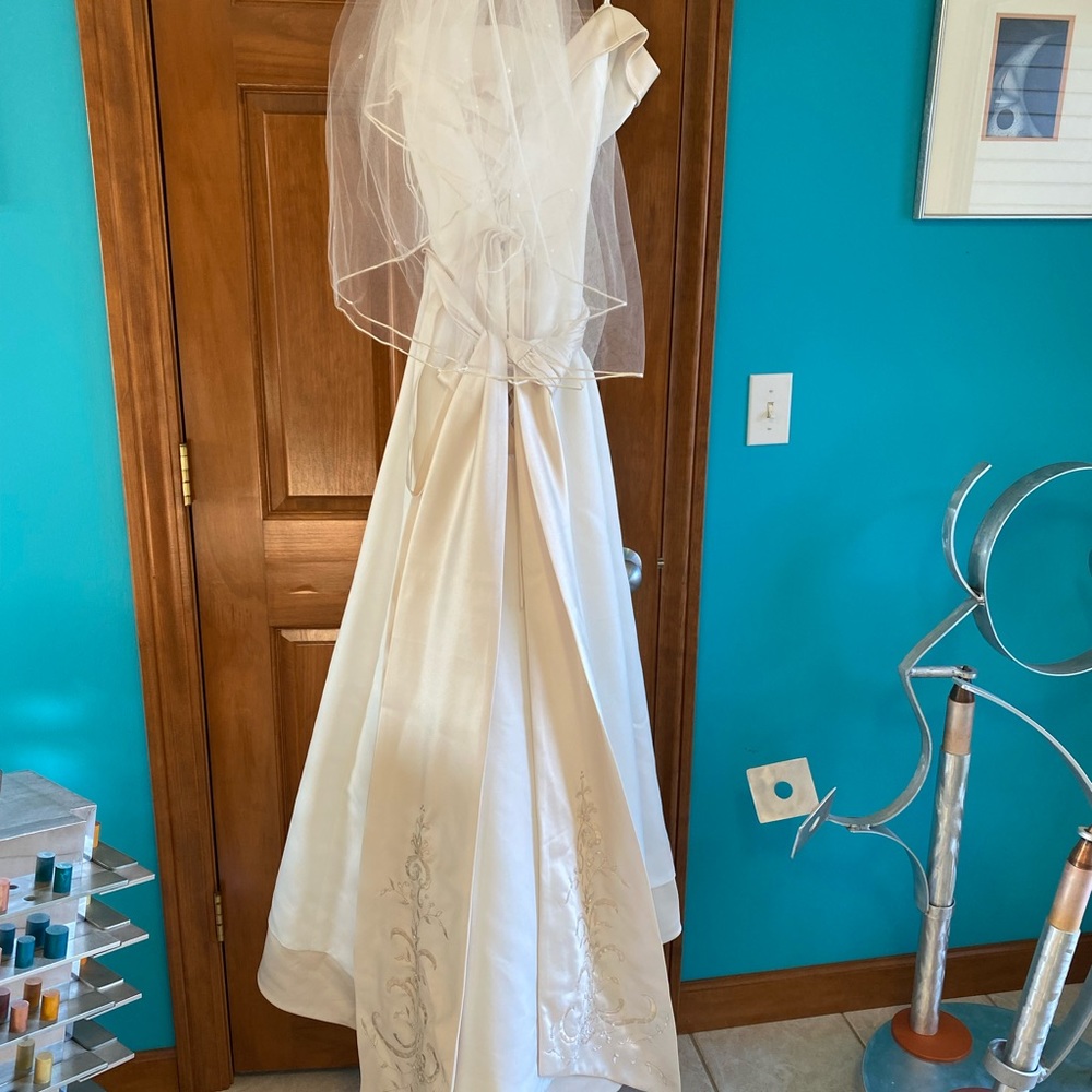 Strapless champagne colored wedding dress with matching veil and sash.